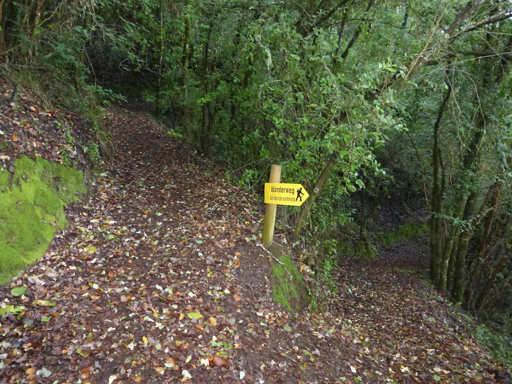 P1000297 (1)